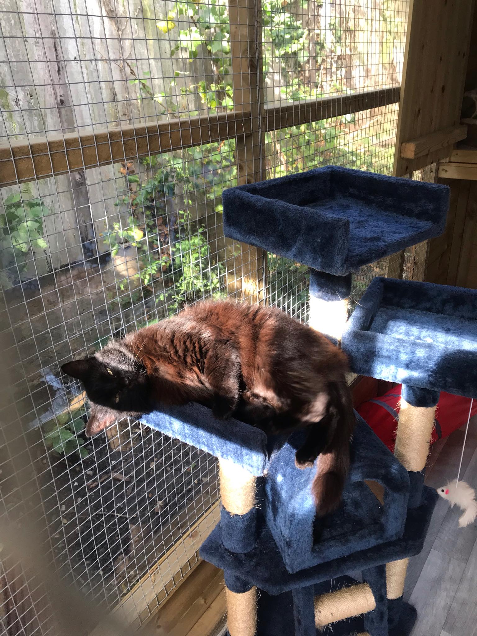 73307321_2481011022182840_7328487694844035072_n