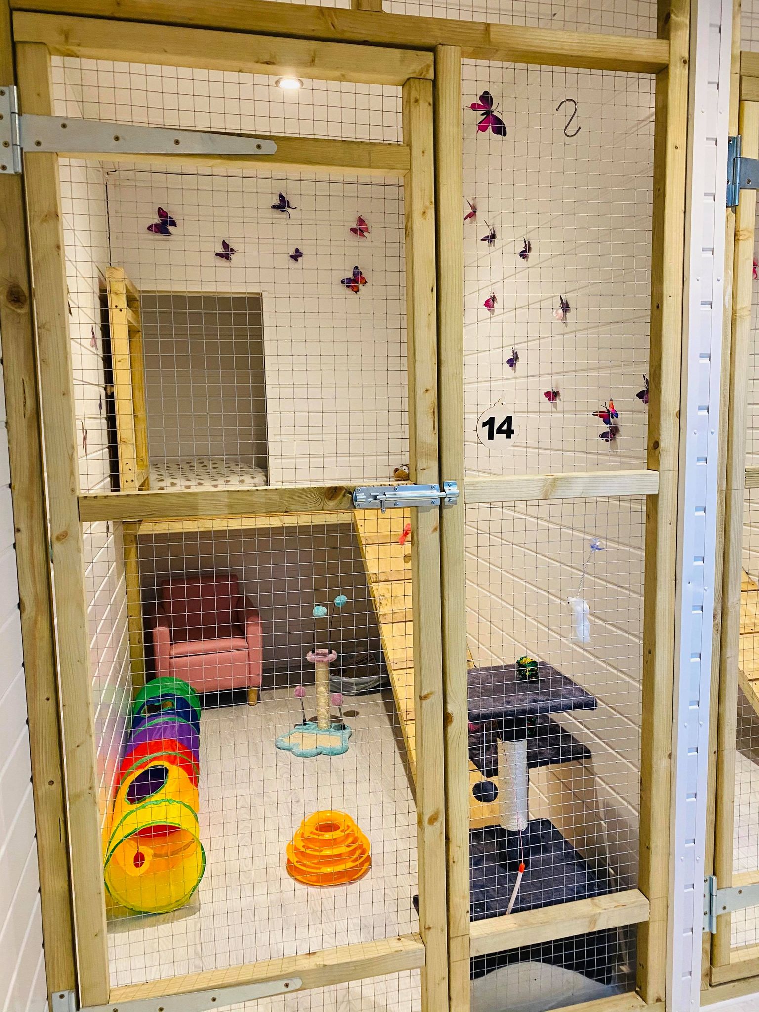 Pussy Cat Hilton Luxury Cattery Butterfly Rooms