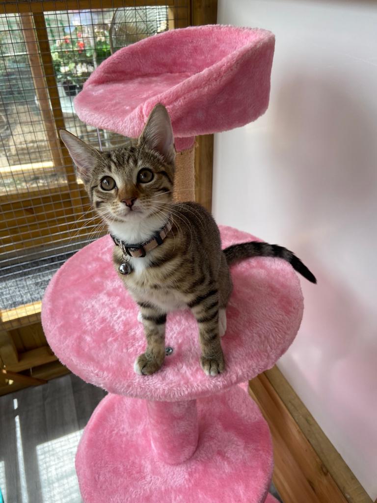 01E7C9BF-0136-40F5-9A2D-66D16C2020F6