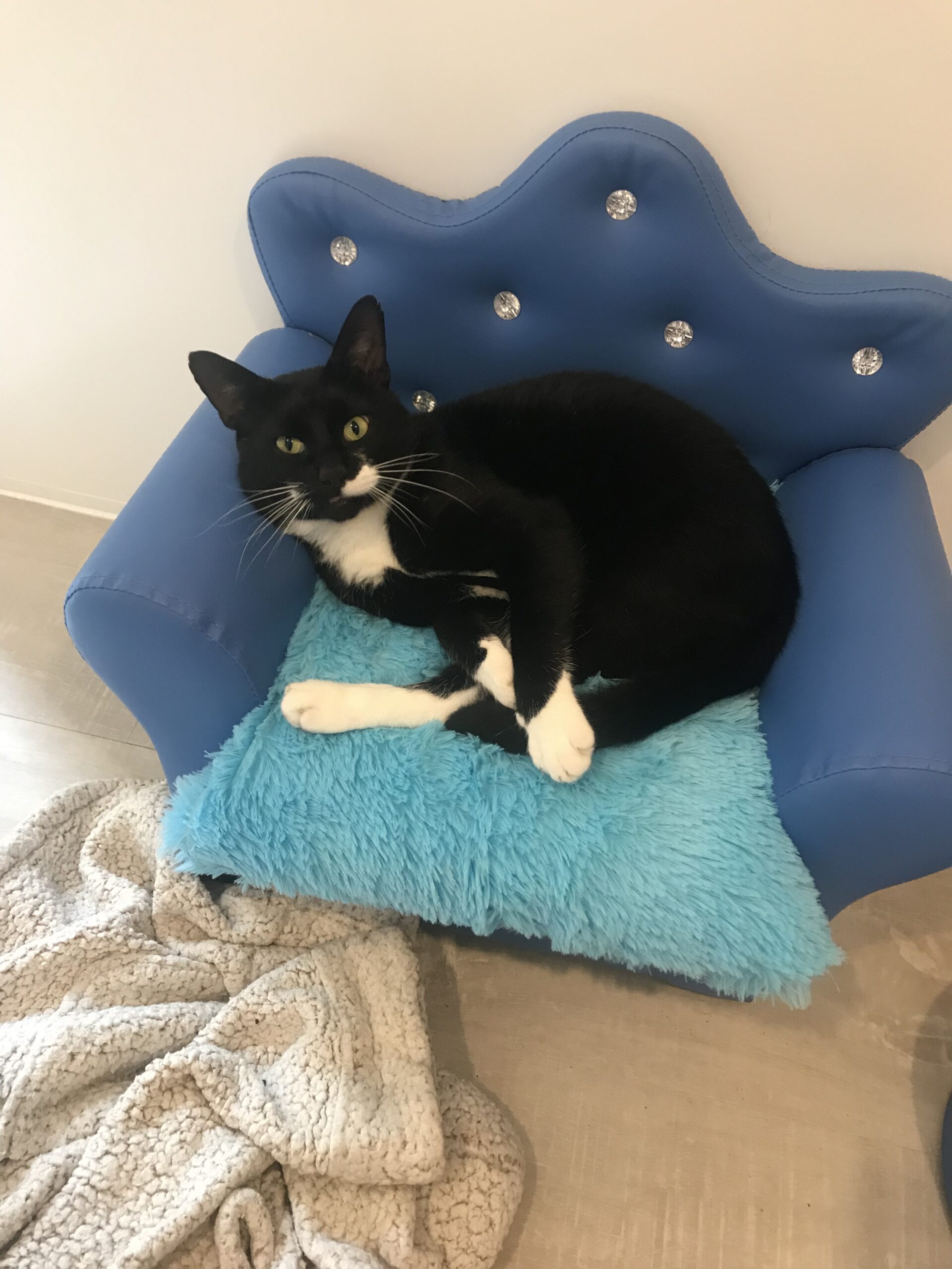 373D4F2B-FB46-49CC-B727-85B187714A83