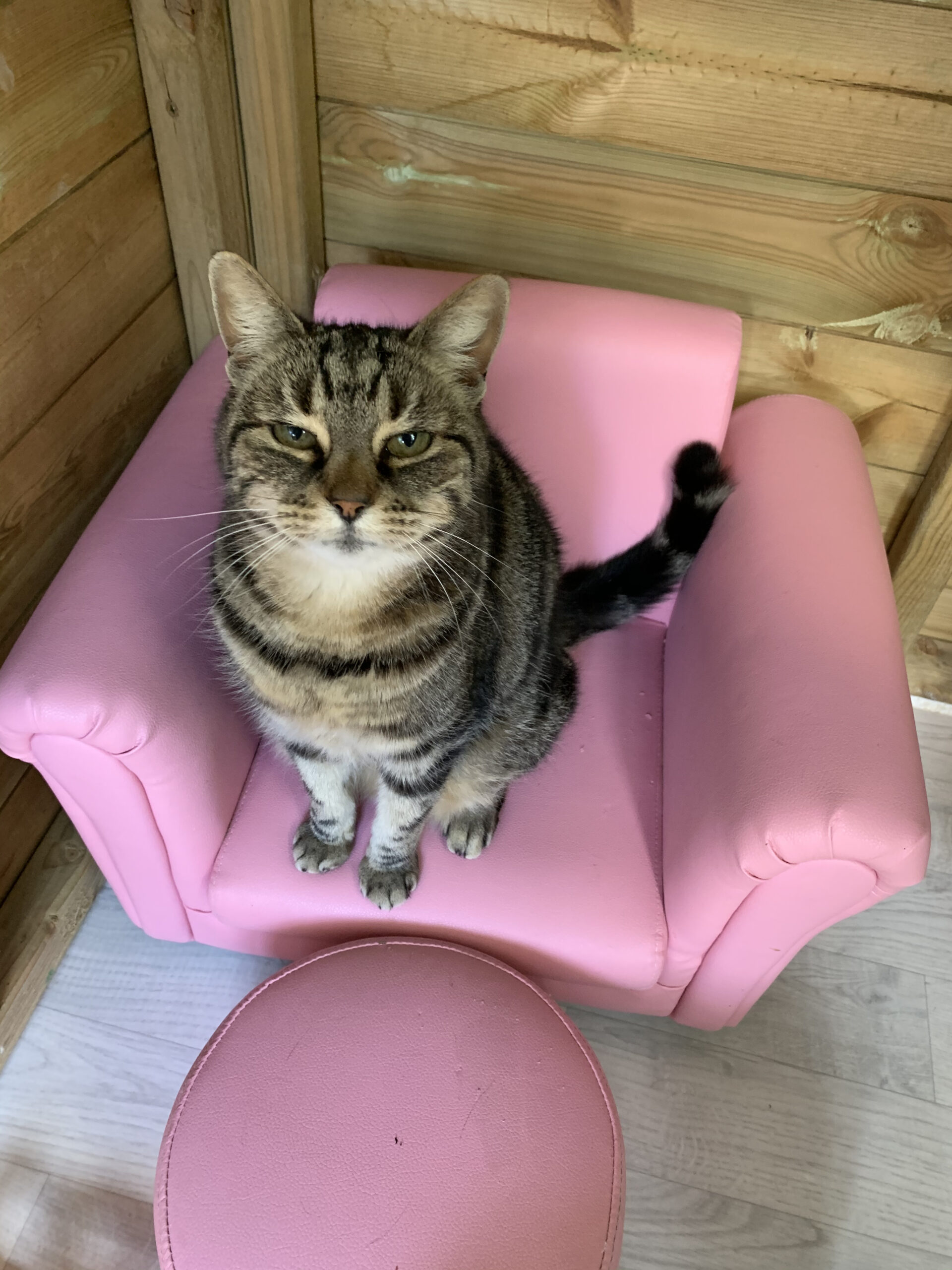 73EC4C9E-38B7-4154-BF27-6616835309F4