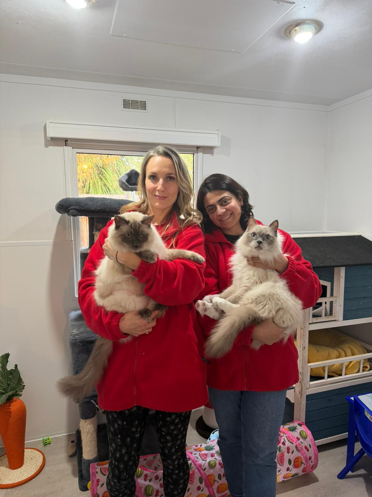 WhatsApp Image 2025-11-13 at 3.20.31 PM (1)